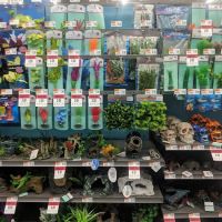 Pet Supplies Plus Gladstone ico