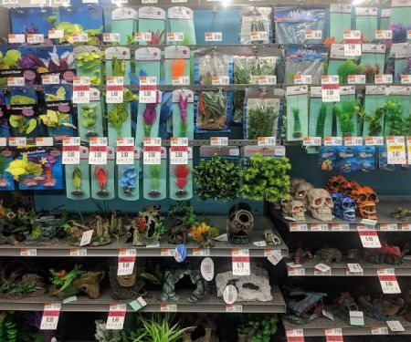Pet Supplies Plus Gladstone
