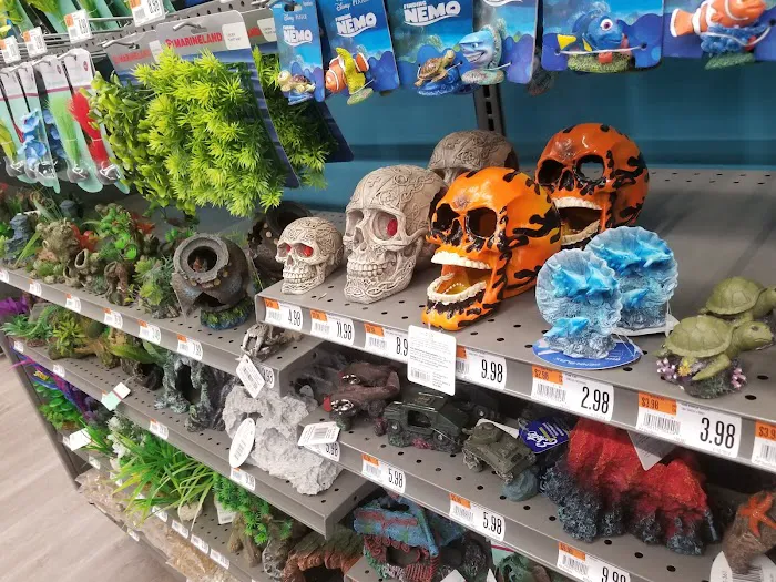 Pet Supplies Plus Gladstone Picture 7