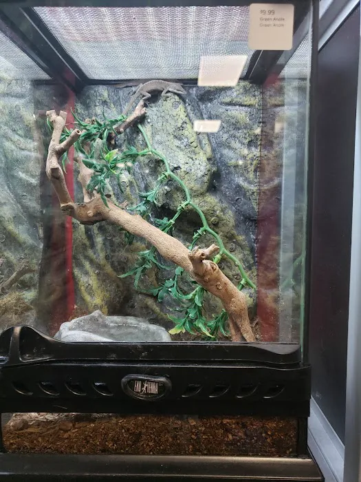 Pet-Topia Picture 7