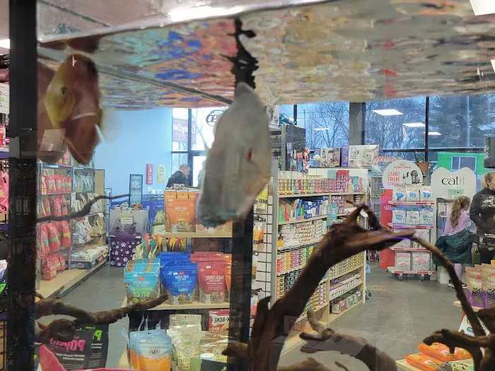 Pet-Topia Picture 2