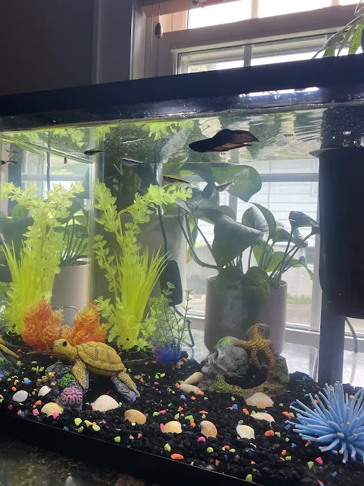 Pet-Topia Picture 10