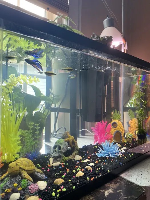Pet-Topia Picture 8