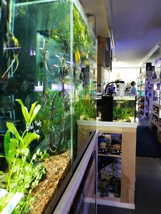 Pet-Topia Picture 1