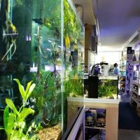 Pet-Topia ico