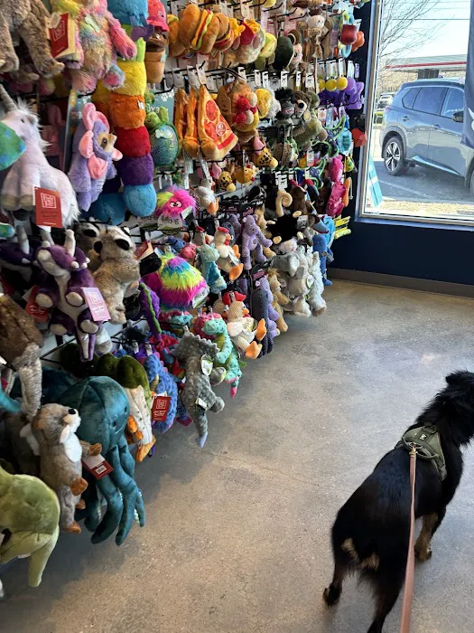 Callie Mae's Picture 5