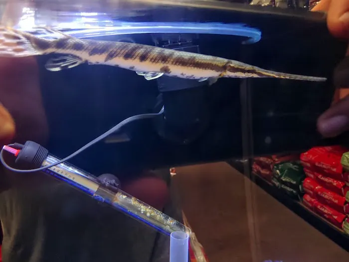 Custom Aquariums by Design Inc Picture 3