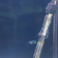 Custom Aquariums by Design Inc ico