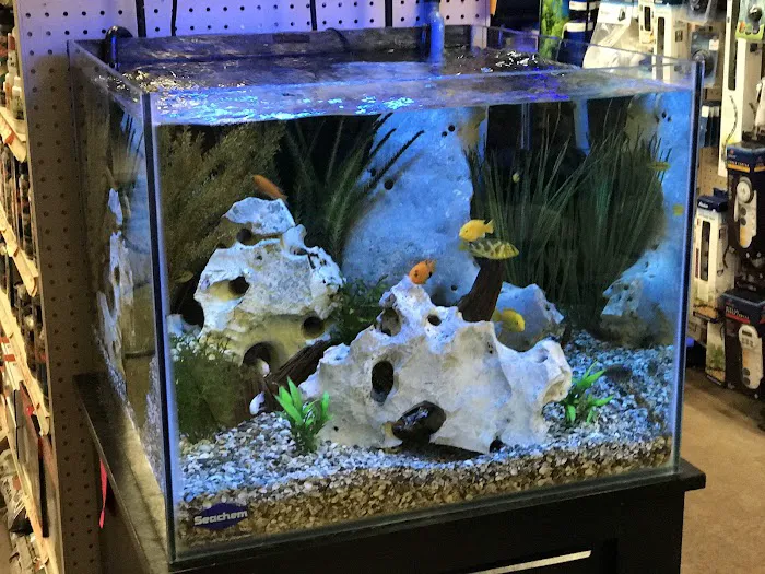 Mission Pet Mart, Inc. Picture 2