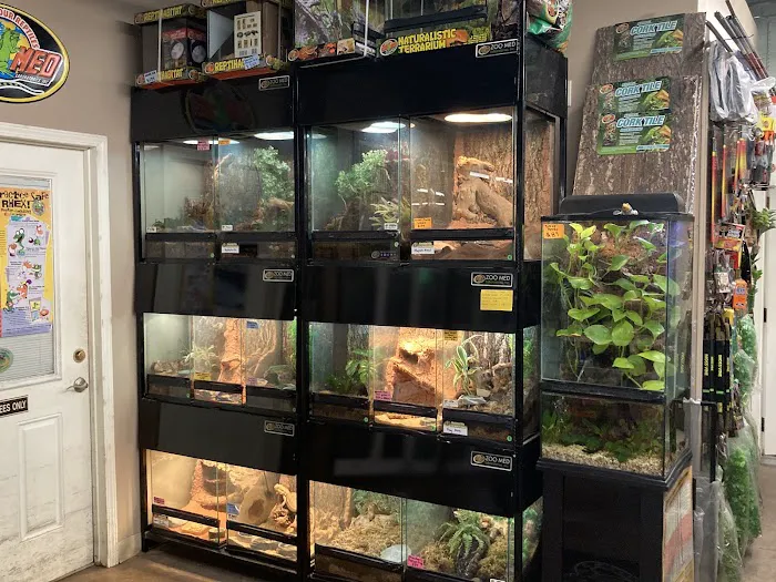 Mission Pet Mart, Inc. Picture 6
