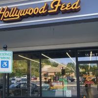 Hollywood Feed ico