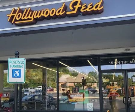 Hollywood Feed