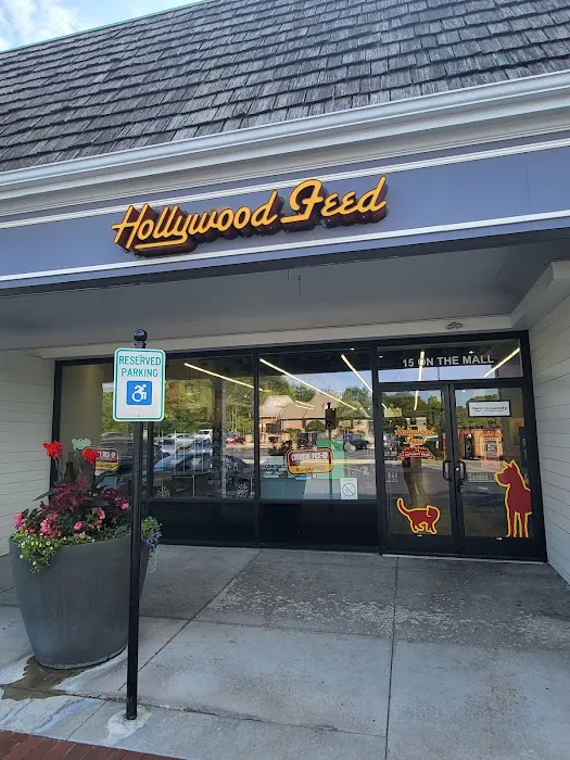 Hollywood Feed Picture 9