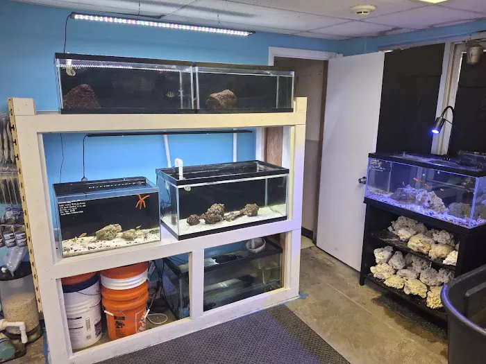 Northland Aquaculture Picture 5