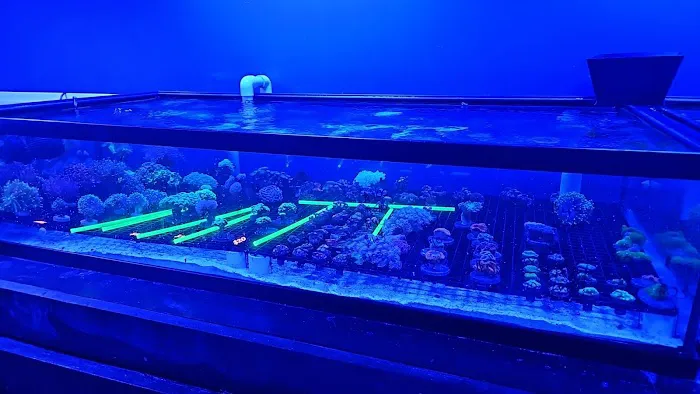 Northland Aquaculture Picture 9