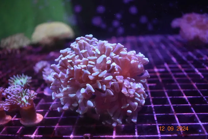 Northland Aquaculture Picture 4