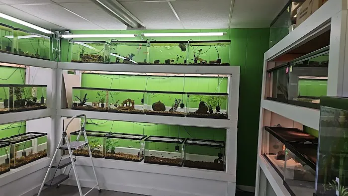Northland Aquaculture Picture 2