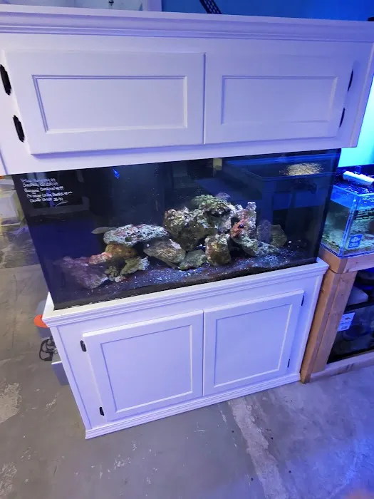Northland Aquaculture Picture 3