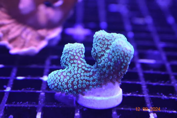 Northland Aquaculture Picture 1