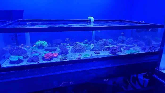 Northland Aquaculture Picture 8