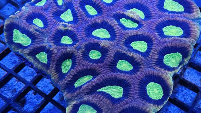 Northland Aquaculture Picture 6