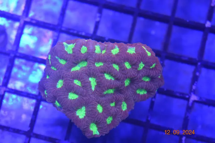 Northland Aquaculture Picture 7
