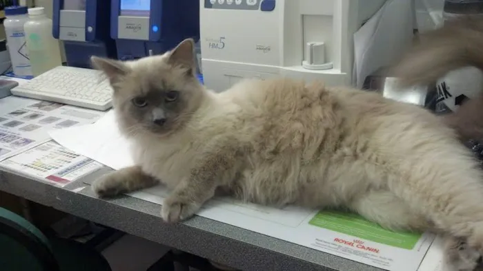 Oneonta Veterinary Hospital Picture 9