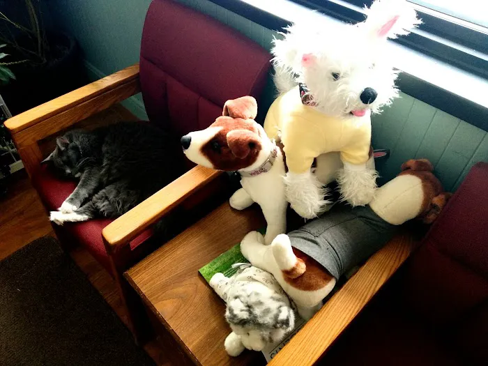 Oneonta Veterinary Hospital Picture 3