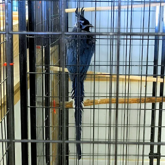 John’s Exotic Pet Store Picture 10
