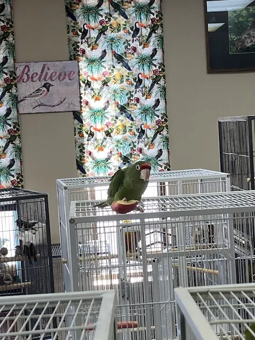 John’s Exotic Pet Store Picture 3