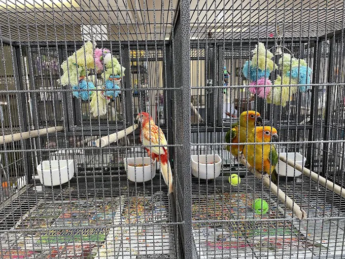 John’s Exotic Pet Store Picture 2