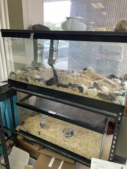 John’s Exotic Pet Store Picture 7