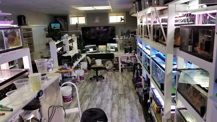The Clownfish Shop (please call for appointment) Picture 1