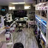 The Clownfish Shop (please call for appointment) ico