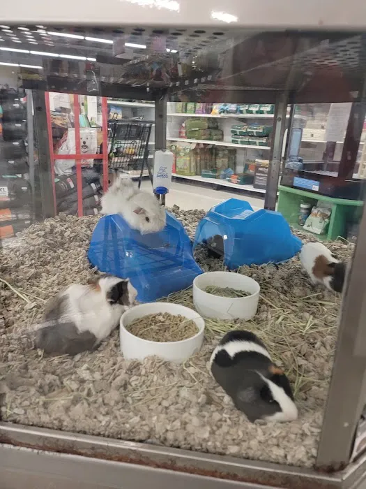 Petco Picture 2
