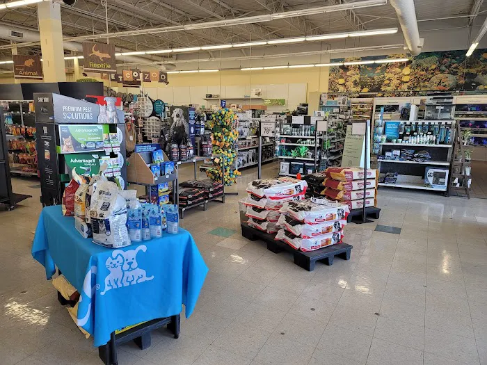 Petco Picture 7