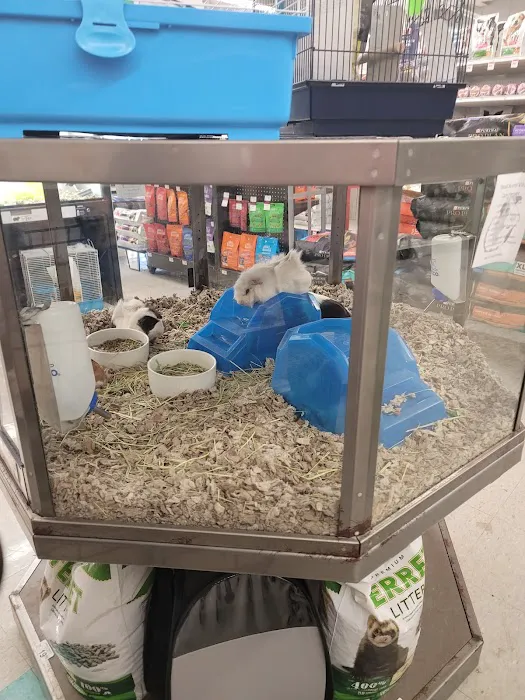 Petco Picture 10