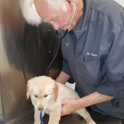 Delhi Animal Hospital Picture 2