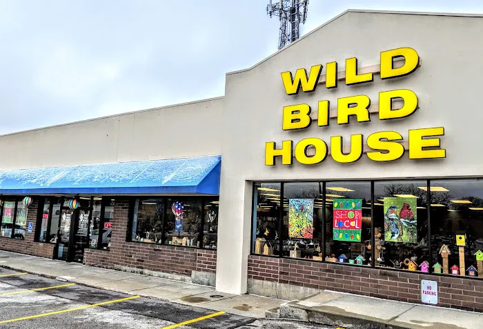 Wild Bird House Picture 8