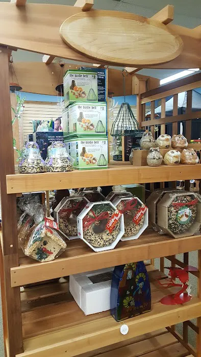 Wild Bird House Picture 5