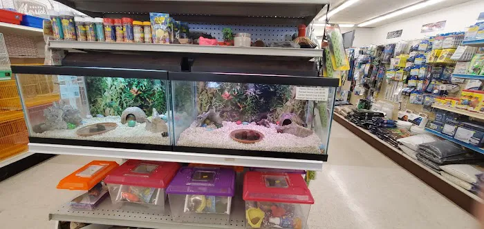 Pet Stop Picture 4