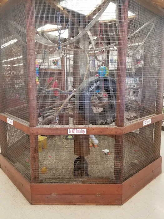 Pet Stop Picture 6