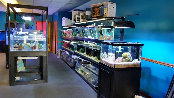 Live Art Aquatics Picture 7