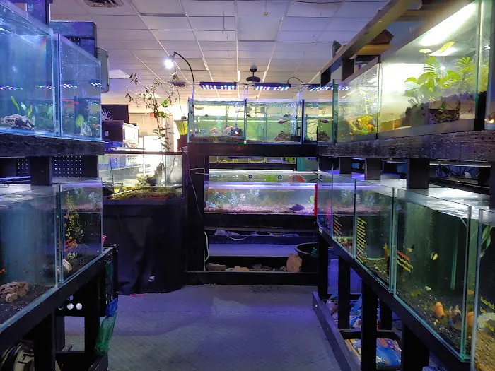 Live Art Aquatics Picture 1