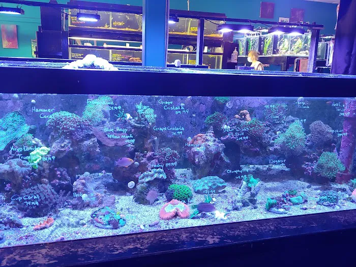 Live Art Aquatics Picture 4