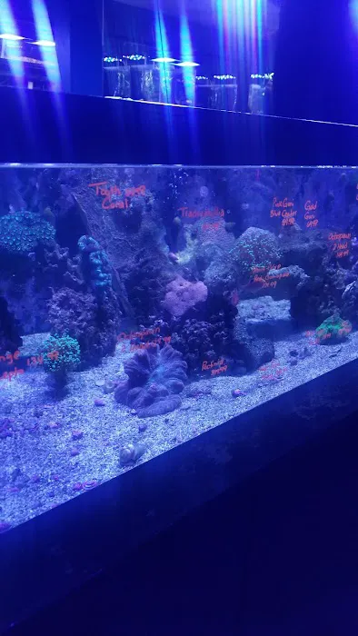 Live Art Aquatics Picture 3