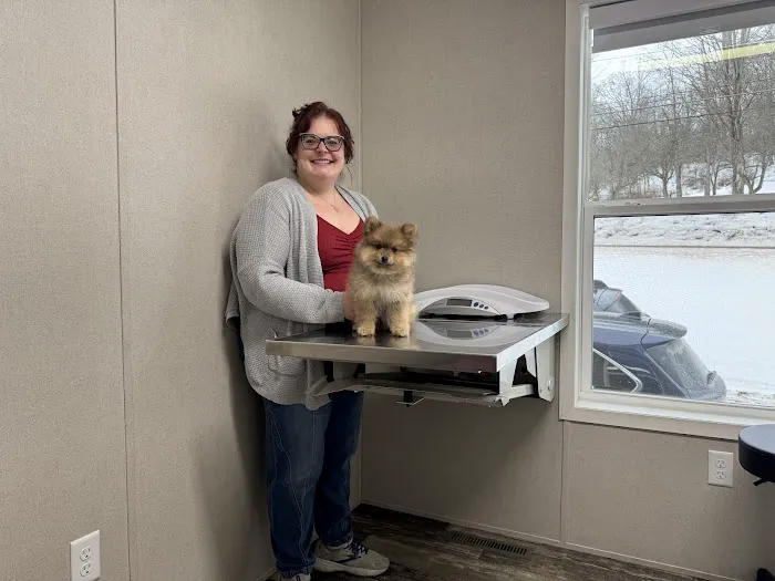 Southside Veterinary Clinic Picture 5