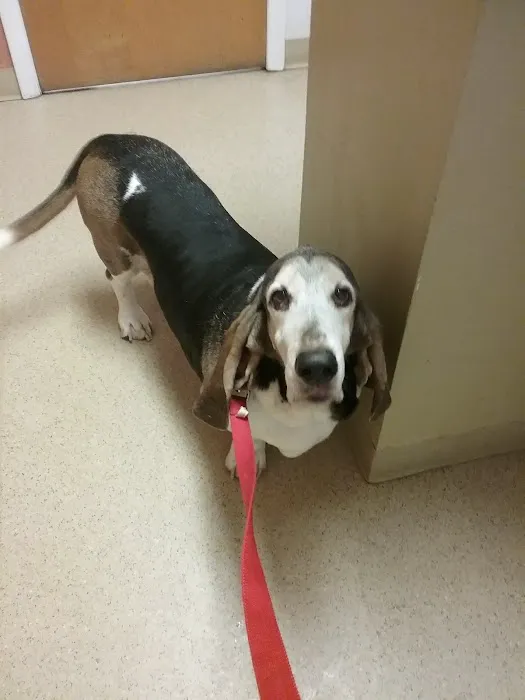 New Berlin Veterinary Clinic Picture 1
