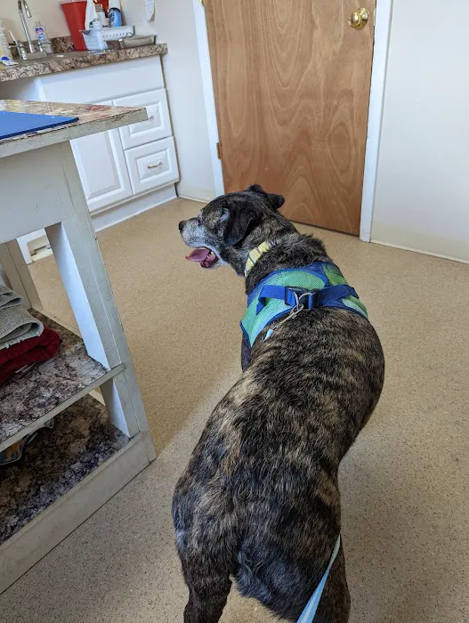 New Berlin Veterinary Clinic Picture 8
