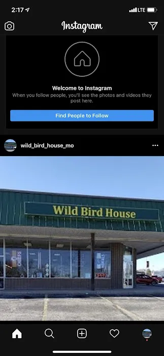 Wild Bird House Picture 1
